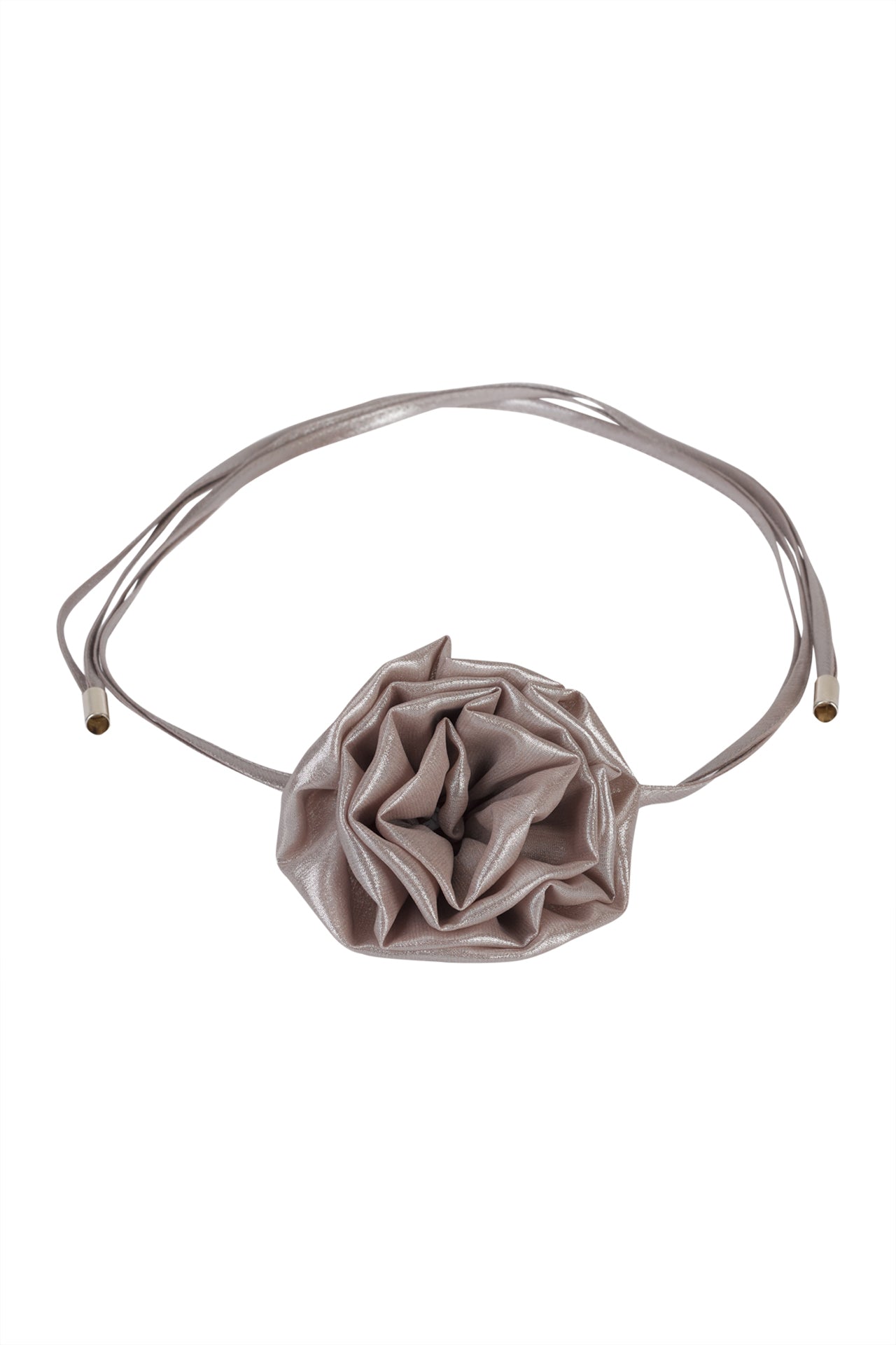 FLOR DE PESCOÇO SILVINA CAMPOS