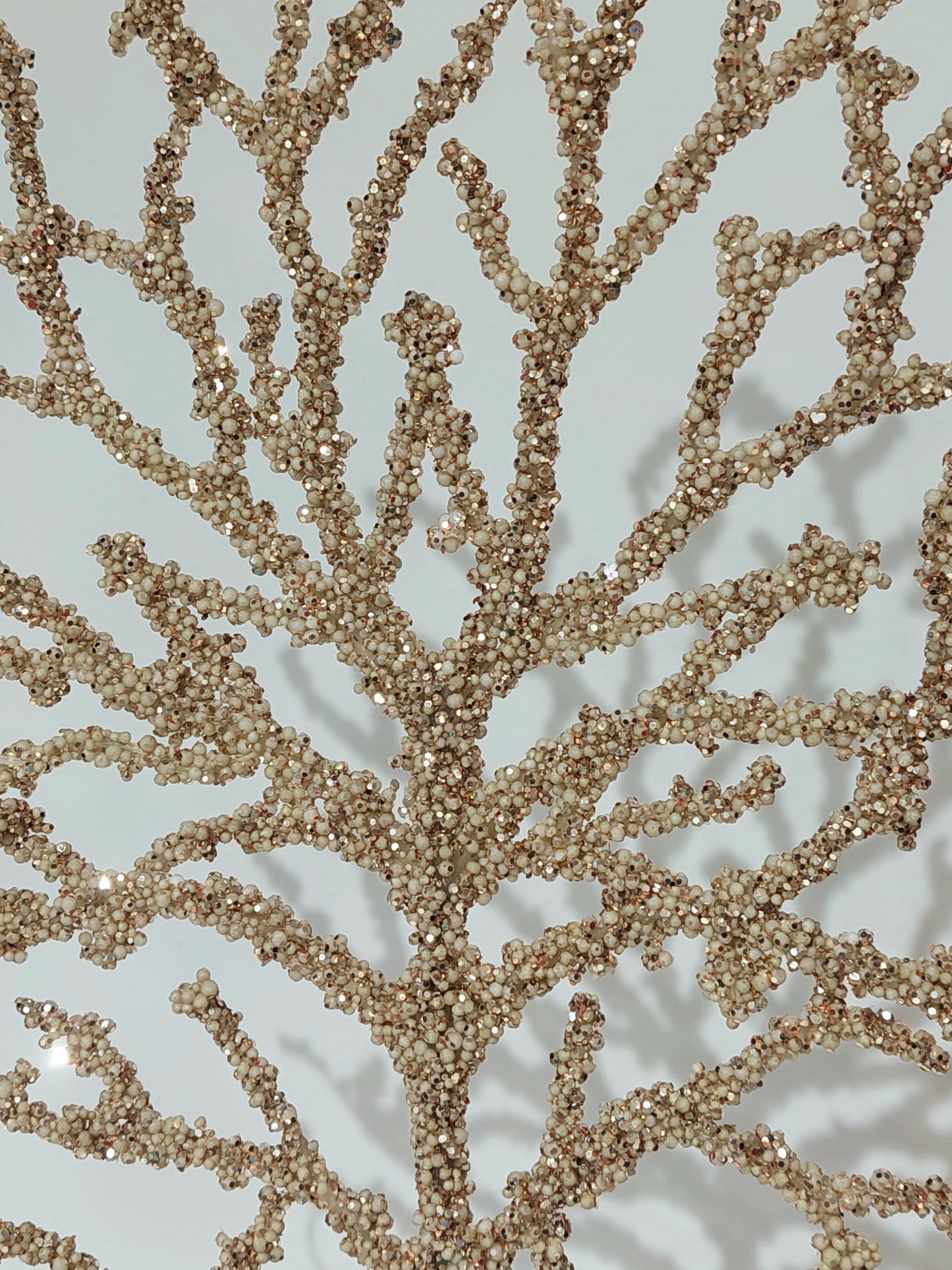 CORALLHO BEL RAMO H50