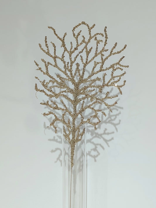 CORALLHO BEL RAMO H50