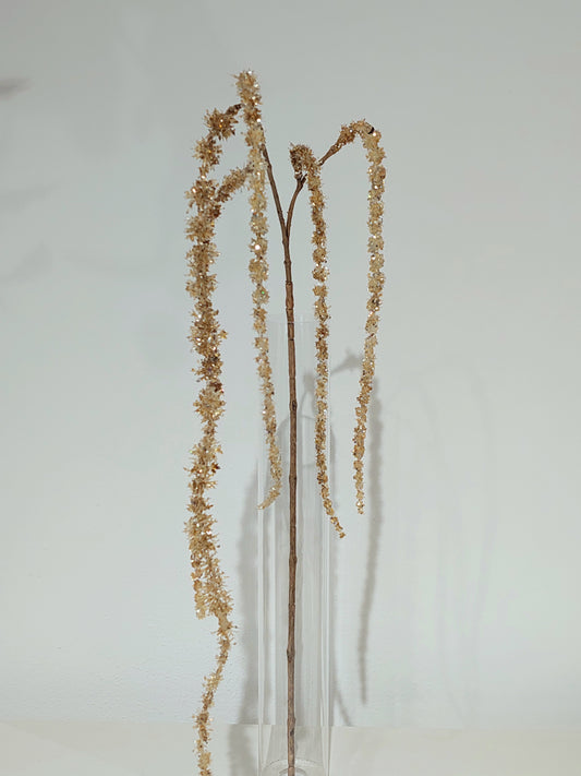 AMARANTUS SCINTIL RAMO H127