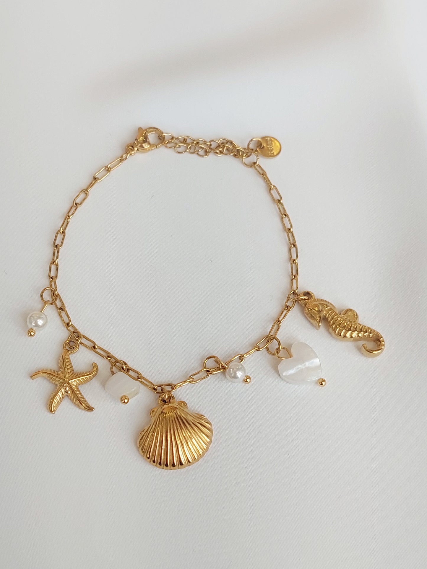 PULSEIRA AÇO