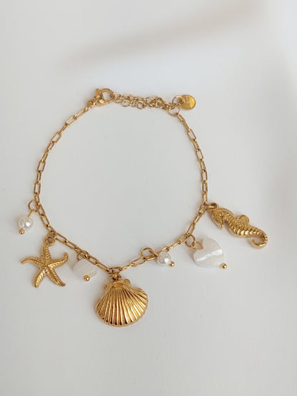 PULSEIRA AÇO