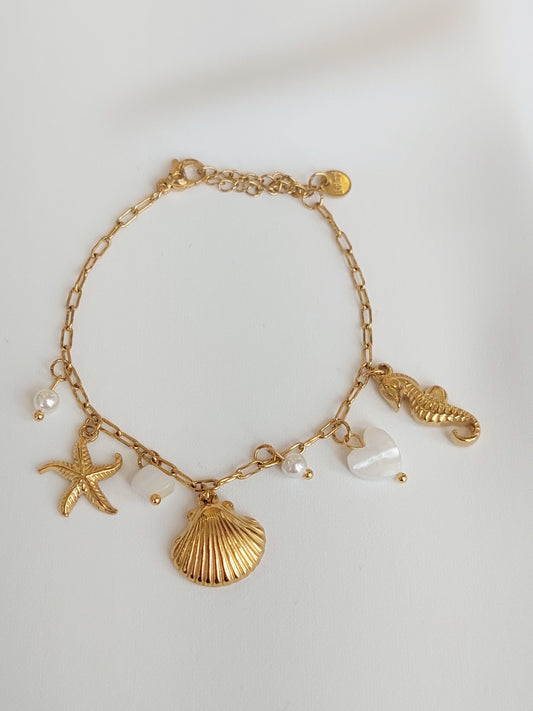 PULSEIRA AÇO