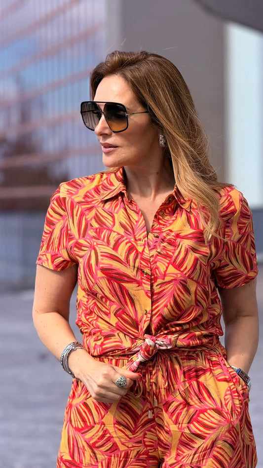 CAMISA ROBERTO BASSI