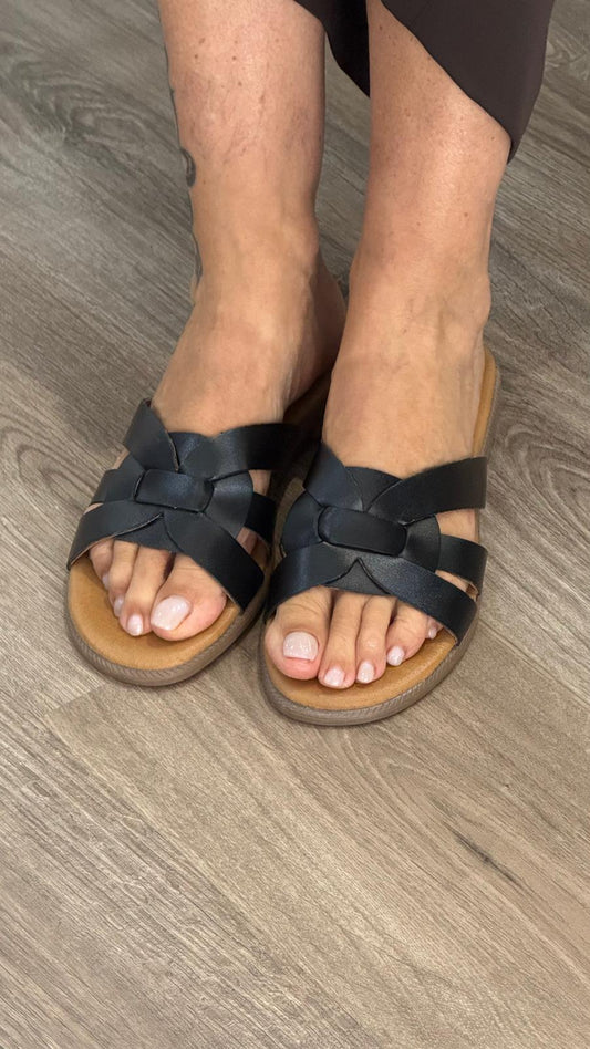 SANADALIA RUIKA